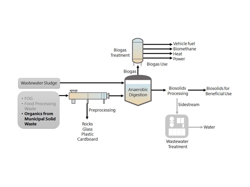 Food Waste Co-Digestion Schmeatic