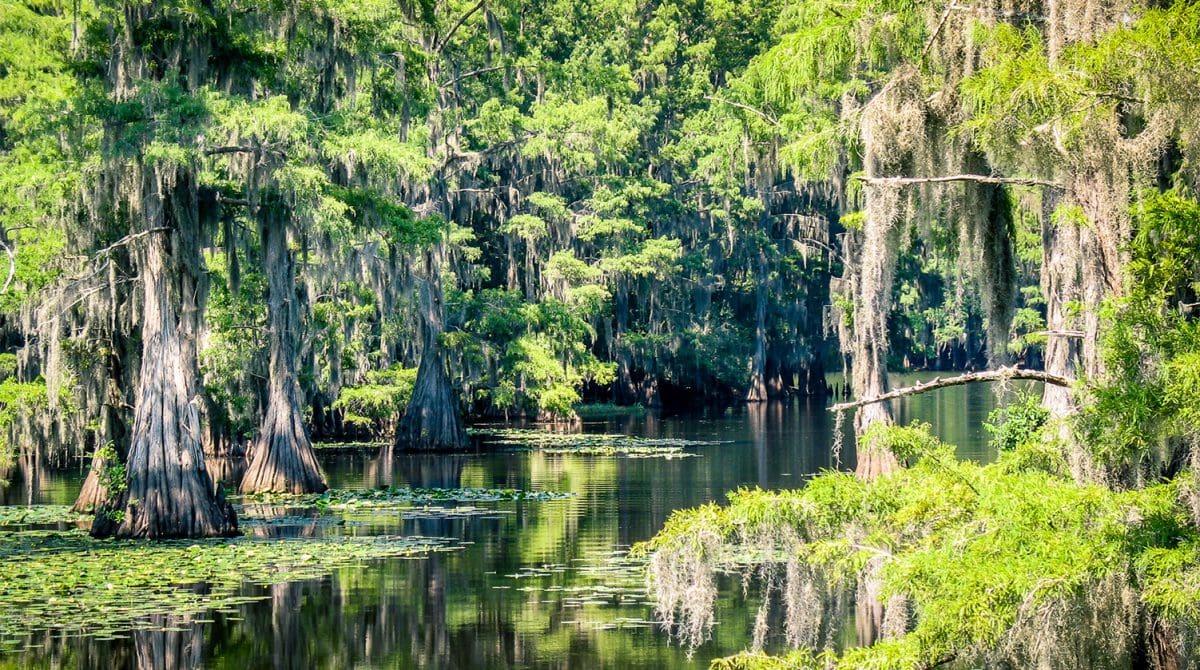 Featured image for 2021 North East Texas Regional Water Plan