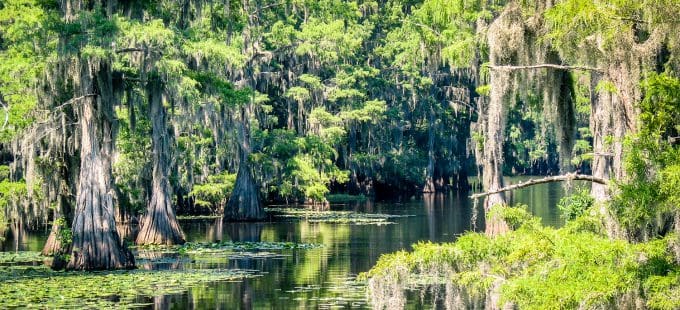 Image for 2021 North East Texas Regional Water Plan