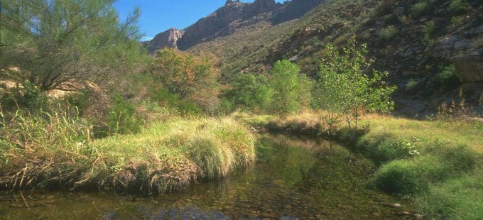 Image for Long-Term Water Augmentation Options for Arizona