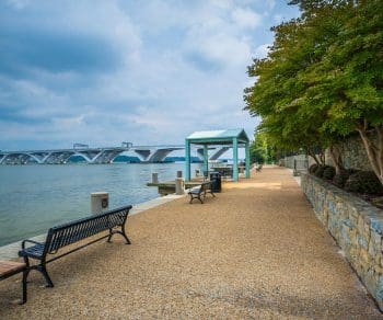 Bench along the Potomac River Waterfront, in Alexandria, Virginia