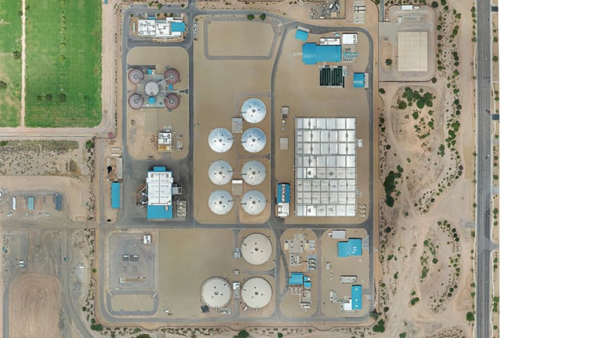 aerial of plant