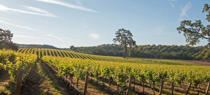 Image for Paso Basin Supplemental Water Supply Study