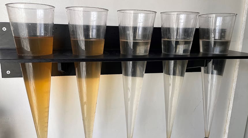 lineup of beakers with water