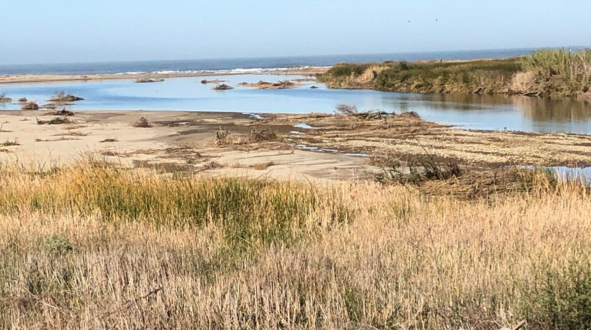 Santa Clara River Estuary