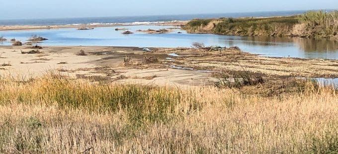 Image for Phase 1, 2 and 3 Estuary Studies