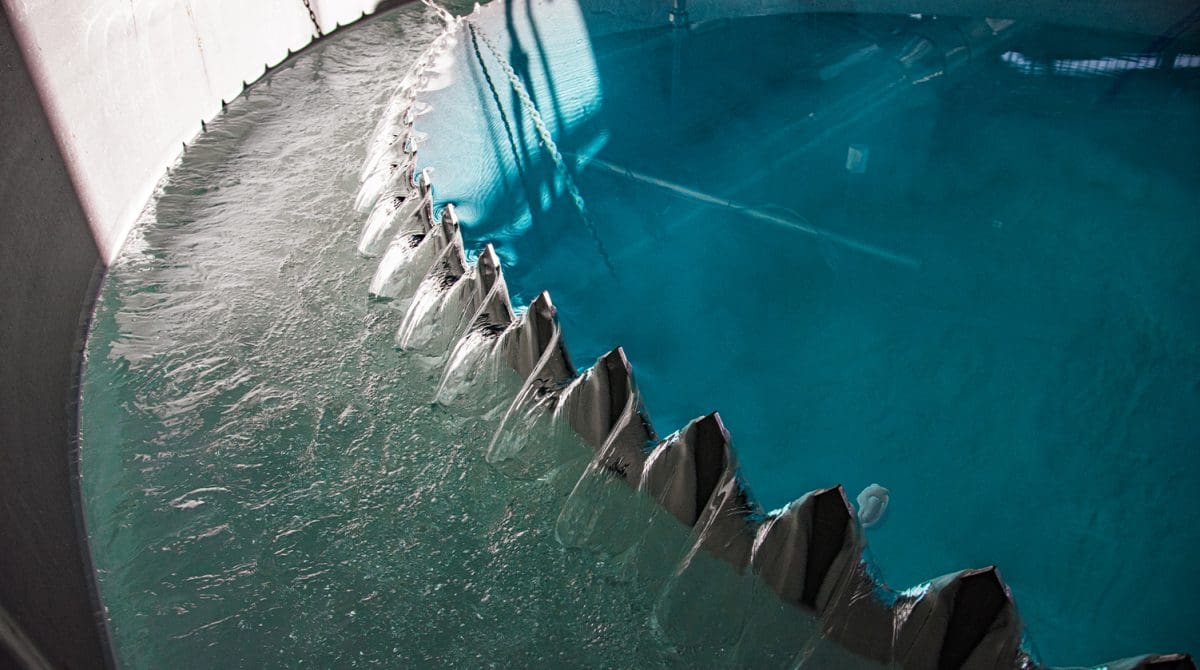 Featured image for Pellet Softening and Disinfection Improvements