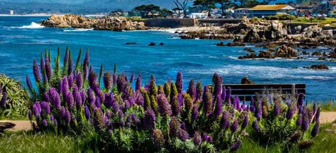 Image for Dynamic Water Balance Model