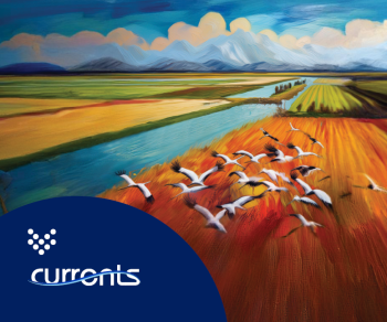 cover of Currents magazine for their 2024 volume 2 issue by Carollo Engineers, featuring articles on PFAS treatment and urban stream protection.