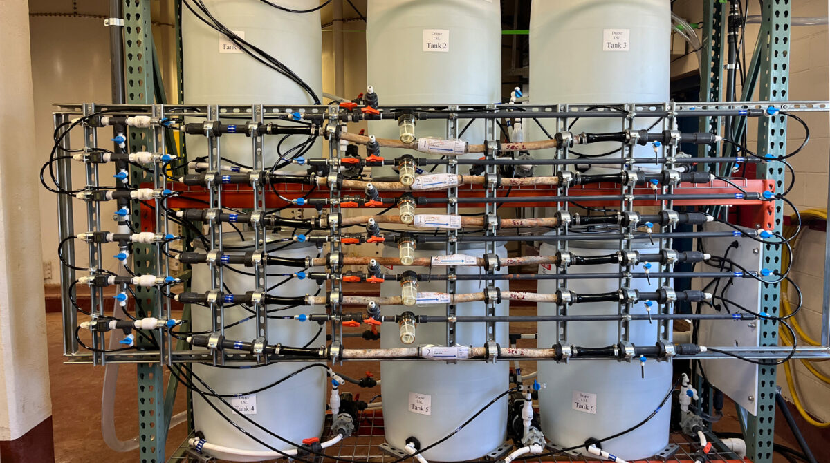Photo of Oklahoma City Water Distribution System Nitrification Evaluation aided by Carollo Engineers
