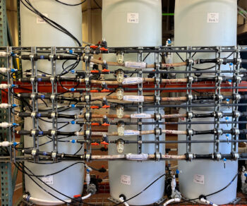 Photo of Oklahoma City Water Distribution System Nitrification Evaluation aided by Carollo Engineers