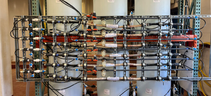 Image for Water Distribution System Nitrification Evaluation