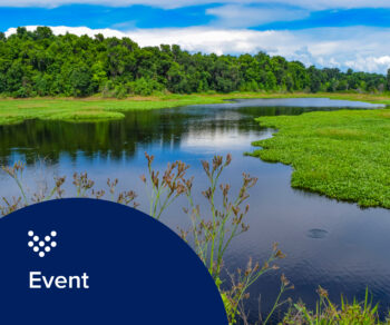 Teaser image for FWEA Collections/Emerging Technology Joint Seminar